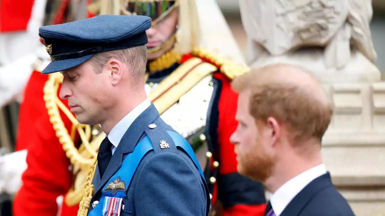 Prince of Wales: Wegen Catherine und der Kinder! Harrys royaler Ausstieg ist für ihn unverzeihlich