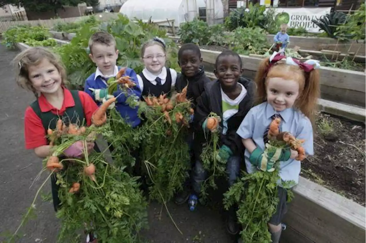 Glasgow Community Champion Awards 2022: Here is how to vote for your local heroes