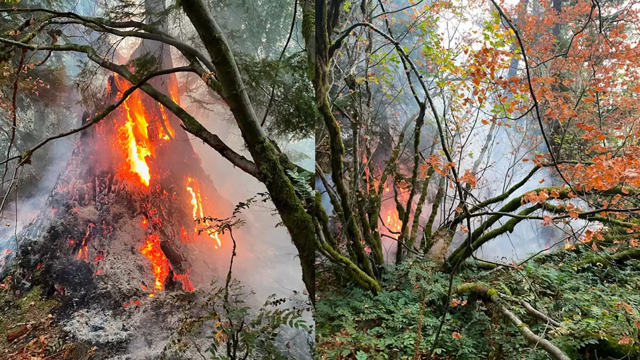 Slow-moving brush fire burning in Snoqualmie, near hospital