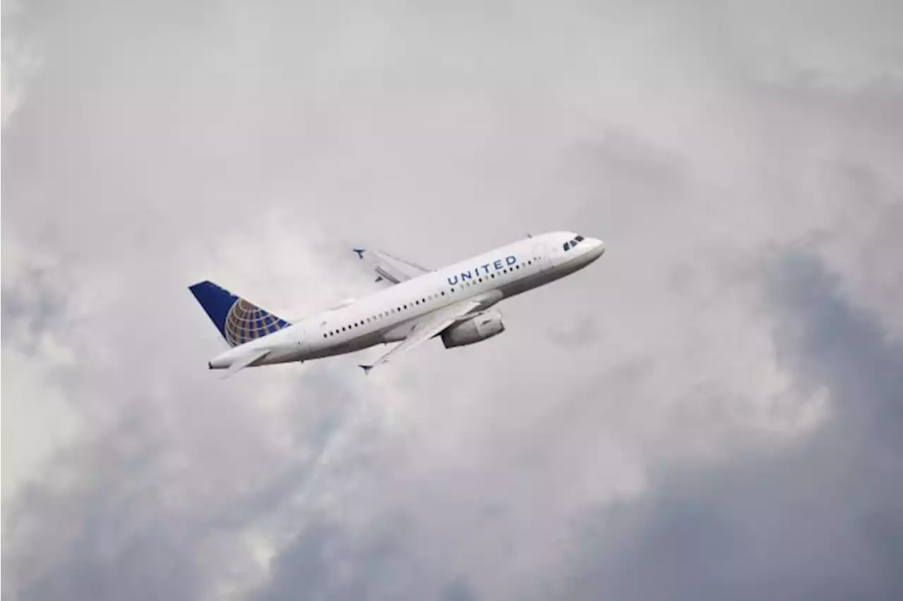 United Airlines reaps $942 million profit on strong summer