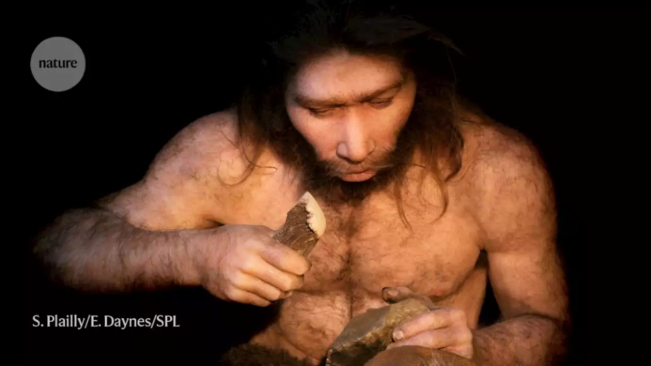 Siberian cave reveals glimpse into first known Neanderthal family