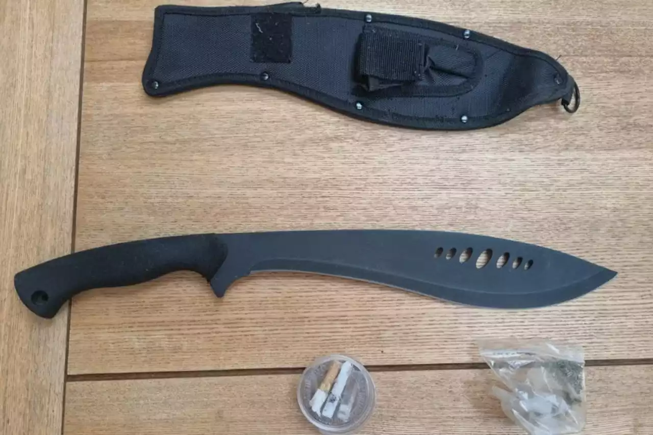 Police 'didn't give a t*** when I found zombie knife'