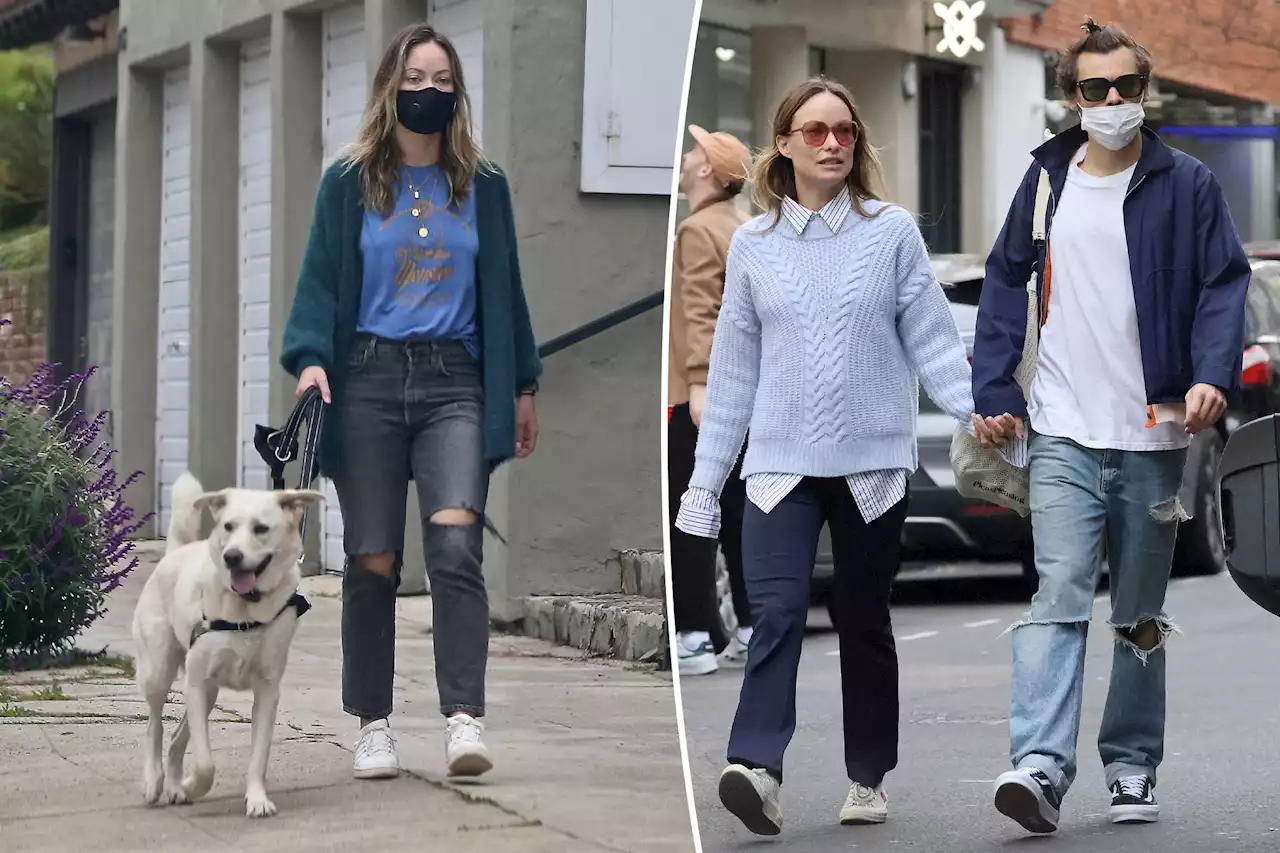 Nanny claims Olivia Wilde gave up her dog to spend more time with Harry Styles