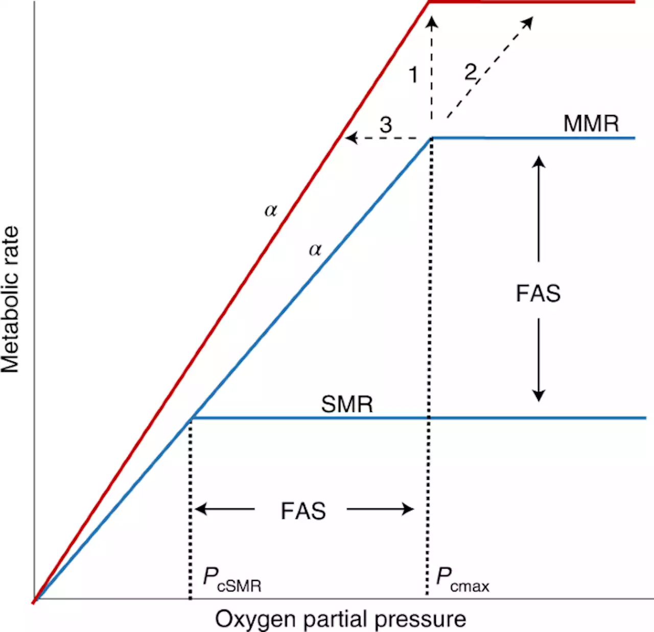 Unique thermal sensitivity imposes a cold-water energetic barrier for vertical migrators - Nature Climate Change