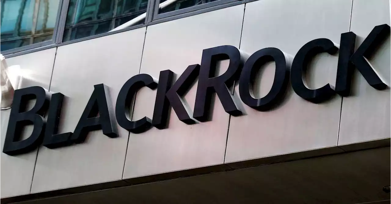 BlackRock tells UK 'no' to halting investment in coal, oil and gas