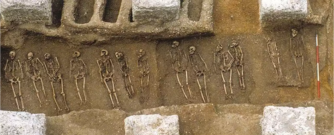 The Black Death Shaped Human Evolution, And We're Still in Its Shadow