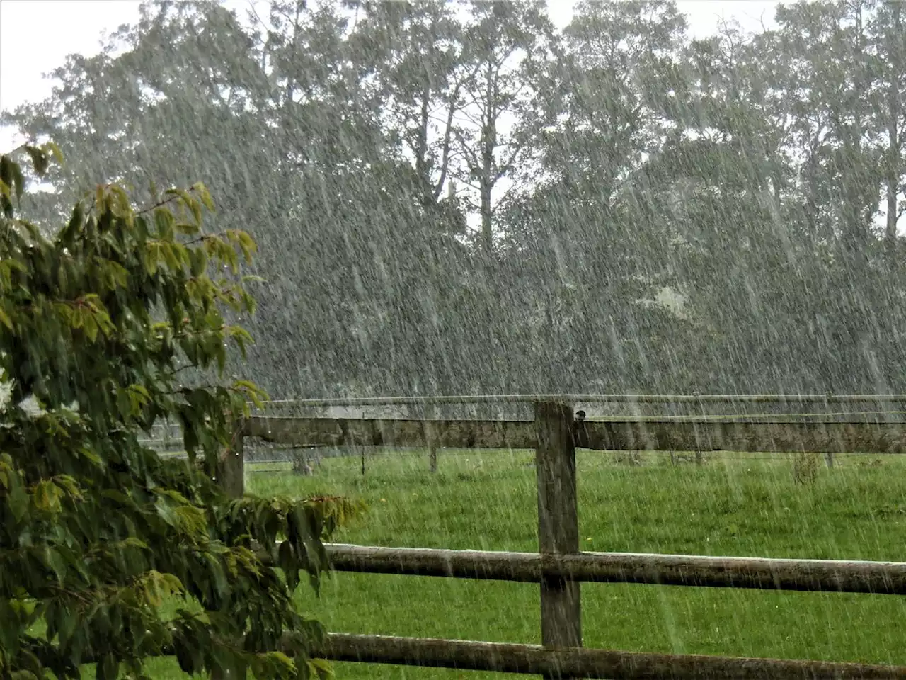 Possible thunderstorms predicted for the region today