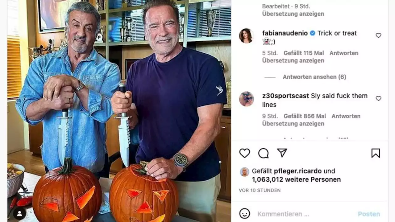 Rocky und der Terminator vereint beim Kürbisschnitzen