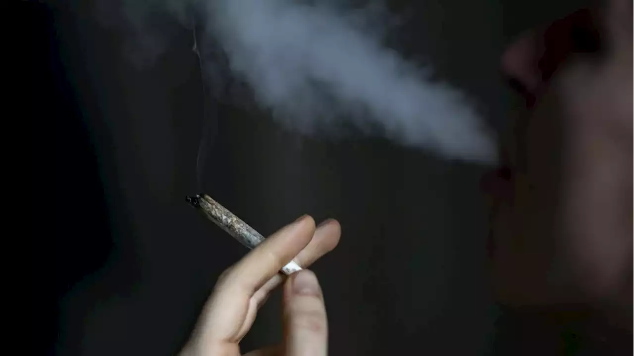 Keine Werbung für den Joint: Lauterbach legt Eckpunkte zur Cannabis-Legalisierung vor