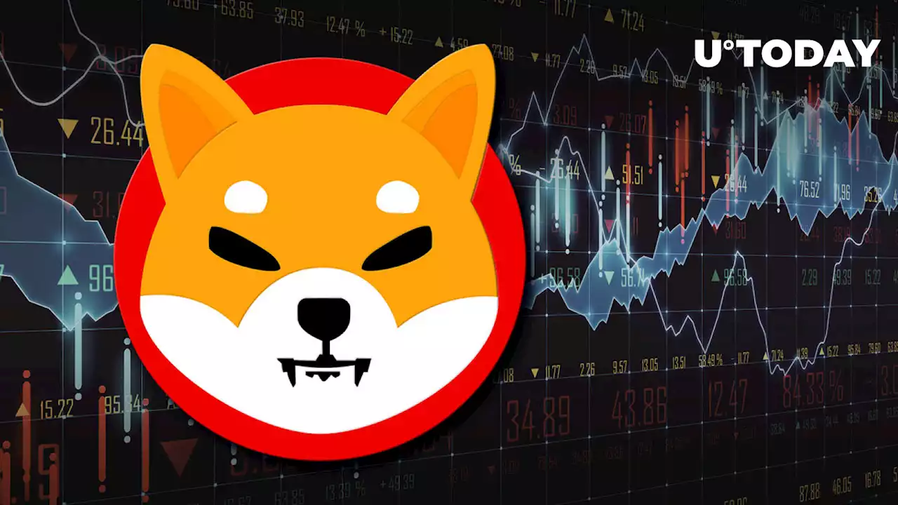 SHIB Trading Volume Jumps 30% as Price Grapples with Key Level