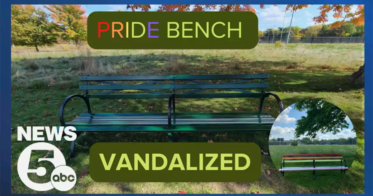 Pride bench in Forest Hill Park vandalized, painted green