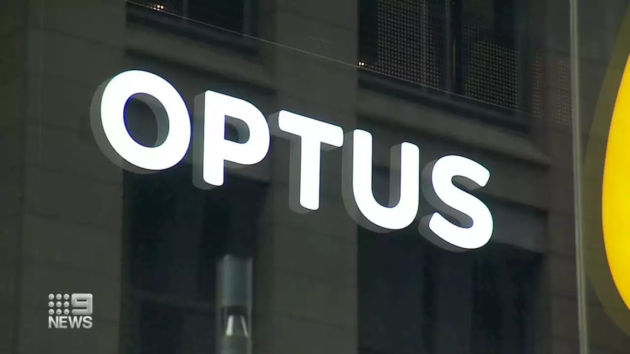 Government says Optus isn't cooperating with its response to customer data breach