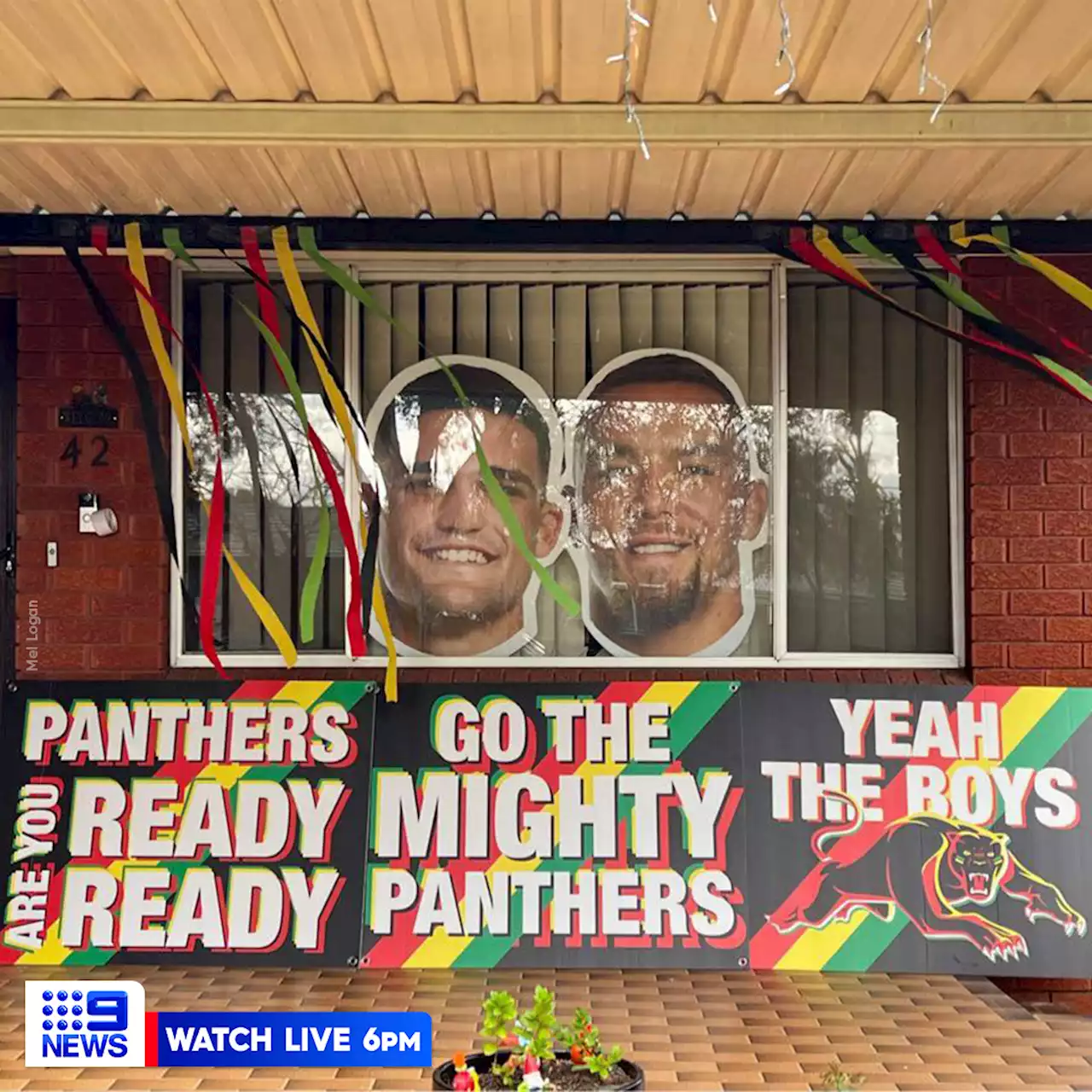 'Here to celebrate': NRL fans painting Sydney blue, gold and black