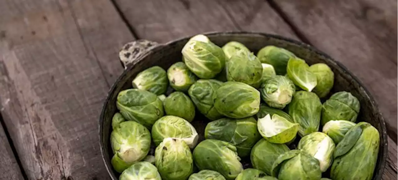 Rosenkohl – ein gesunder Gemüsezwerg - bauernzeitung.ch