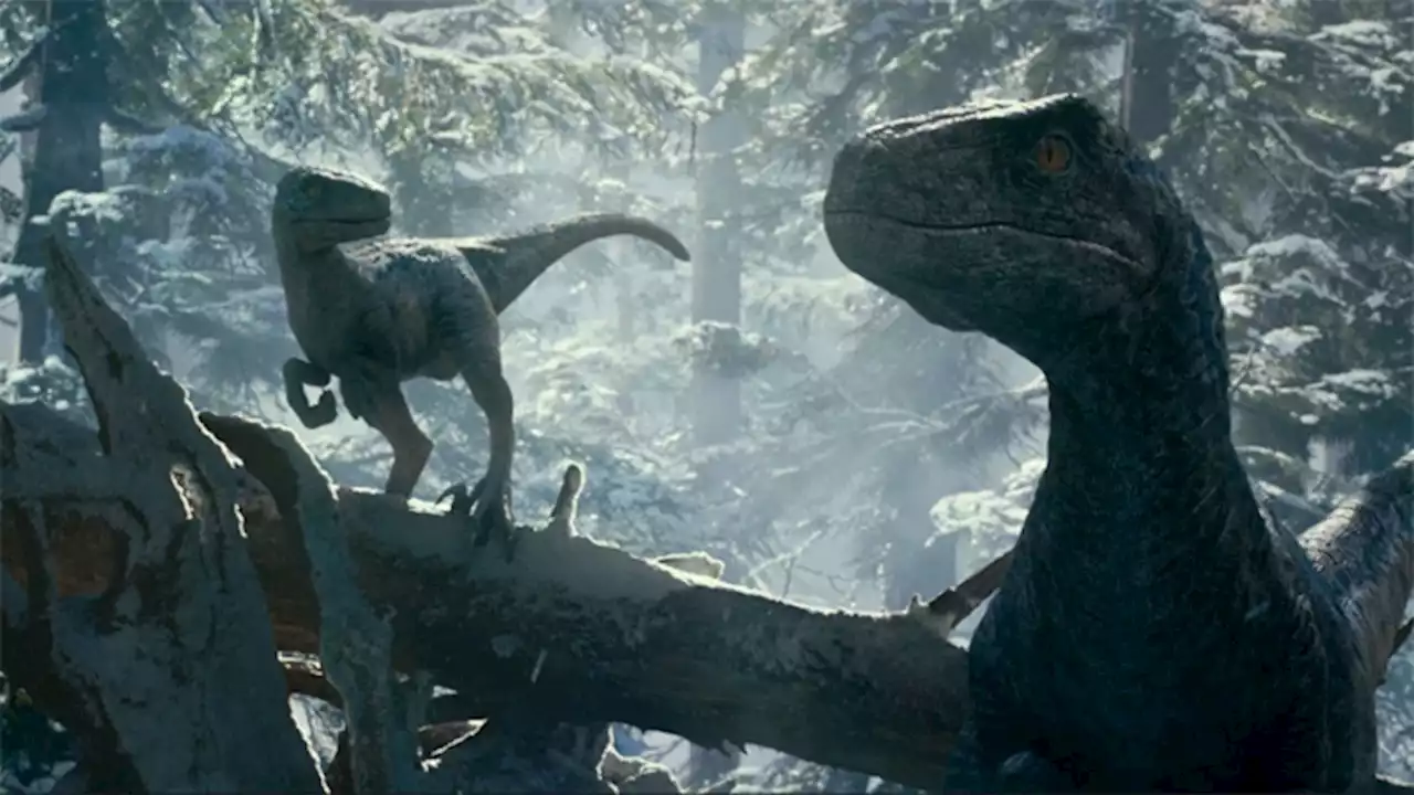 Jurassic World Dominion Director Hints at Sequels: 'There's More to Come'