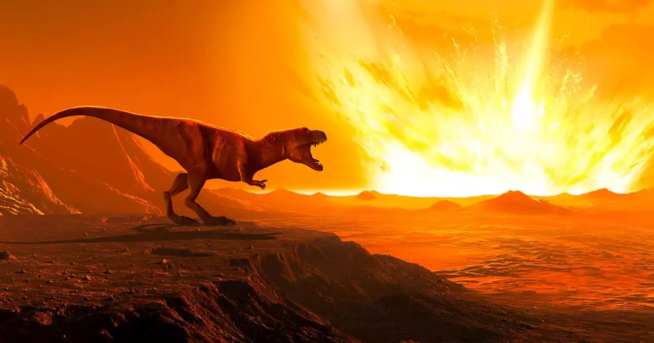 Team Claims to Have Found Chunk of Asteroid That Killed the Dinosaurs