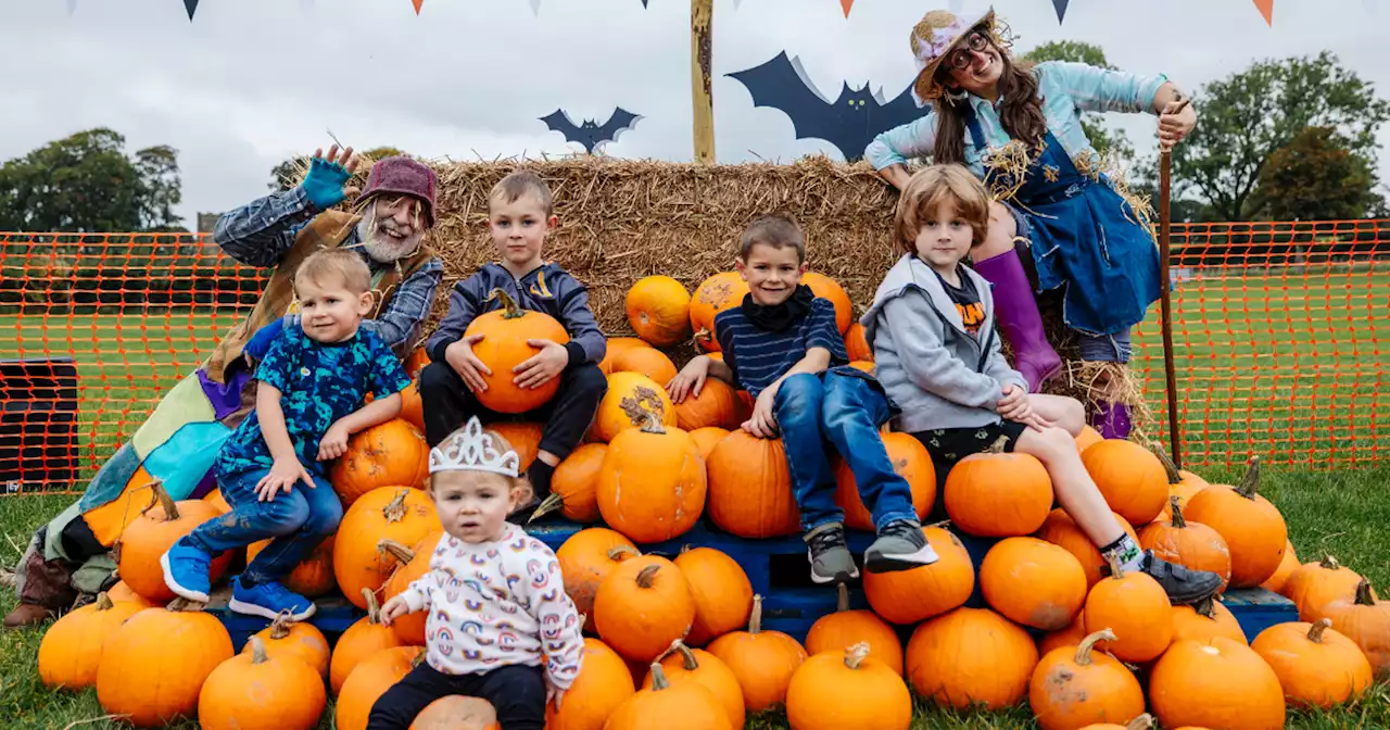 Best pumpkin patches to try in Lancashire this Halloween