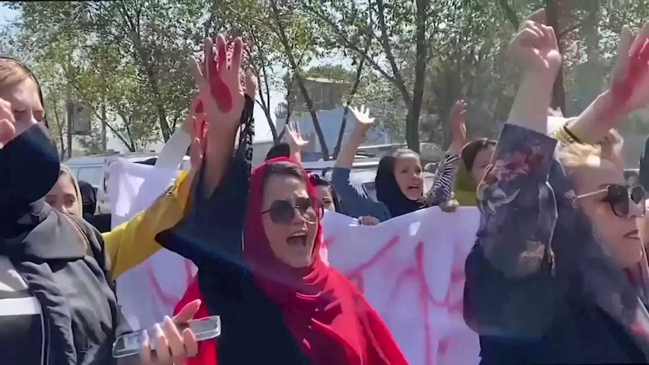 La protesta delle donne afgane dopo l'attentato kamikaze in una scuola - Video