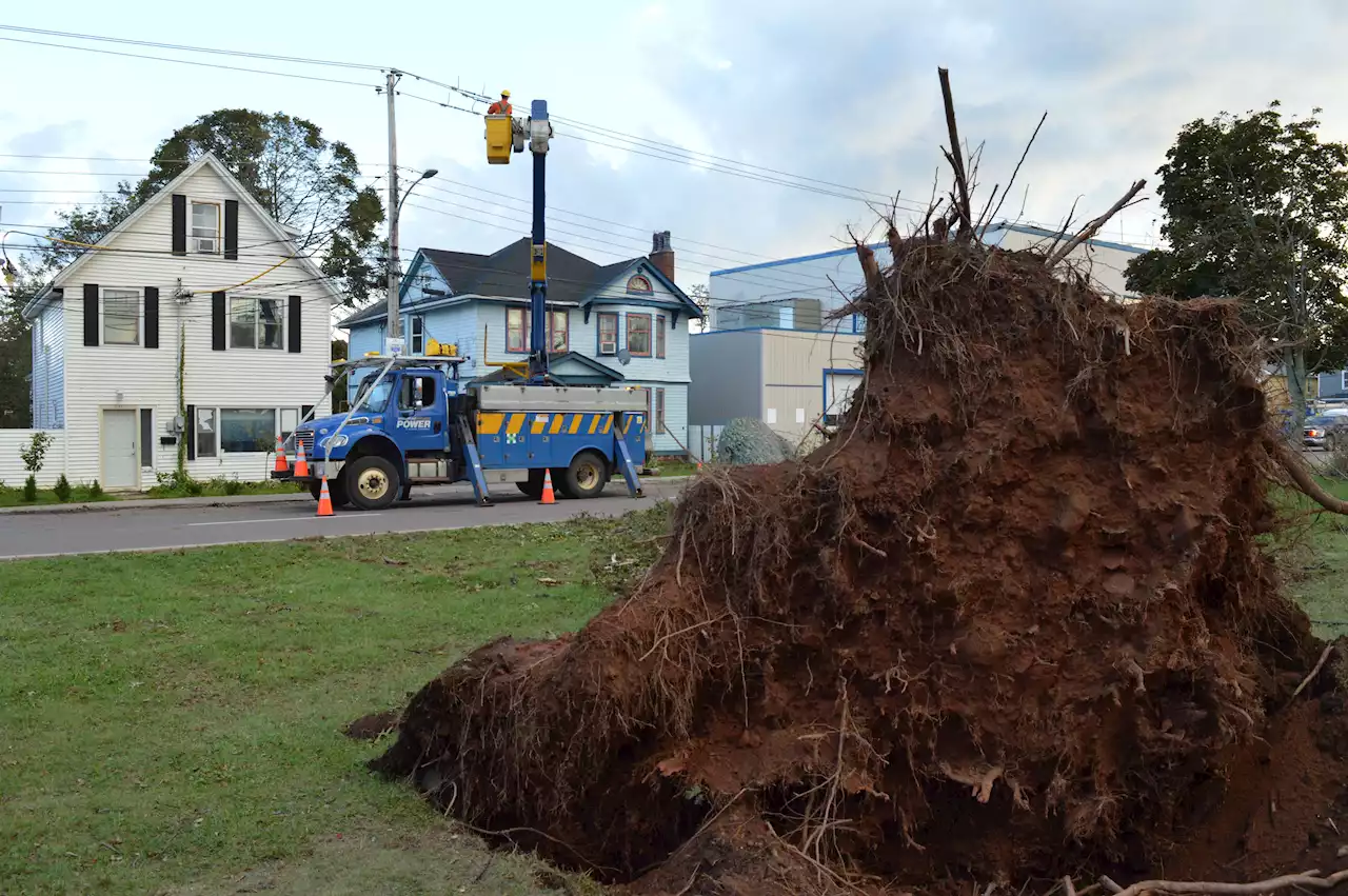 Canadian Red Cross opens Fiona disaster shelter in Charlottetown | SaltWire