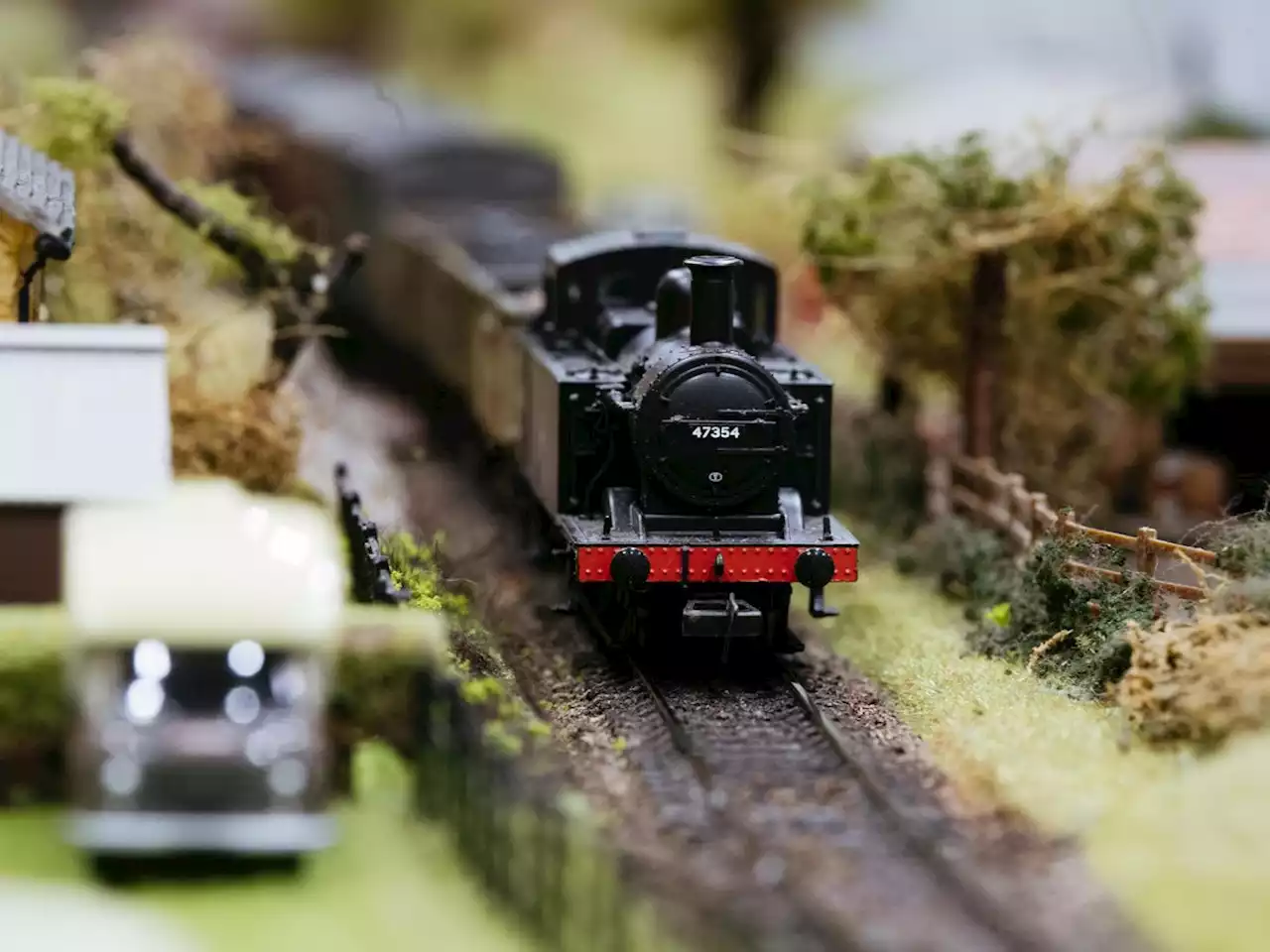 Organisers 'delighted' as more than 300 people turn up to model railway exhibition in Wellington