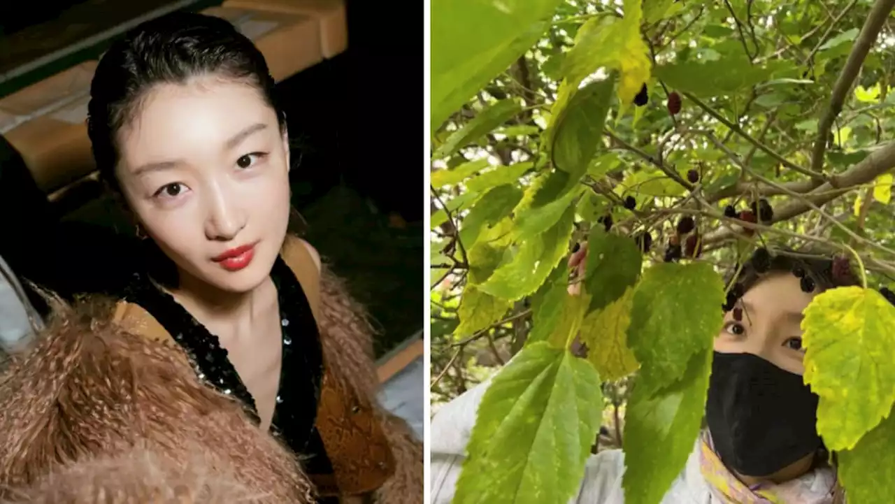 Chinese Actress Zhou Dongyu Called 'Inconsiderate' For Plucking Mulberries In Beijing Park