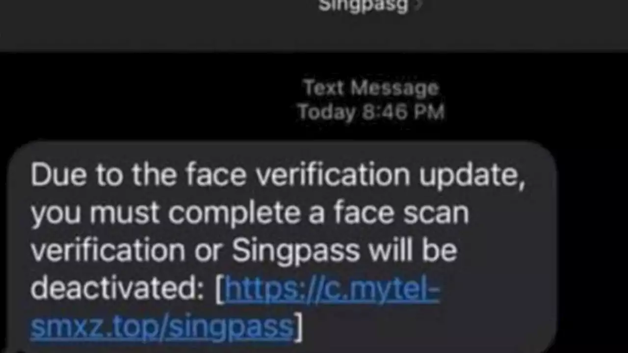 Police warn of SMS phishing scam targeting Singpass users; some end up with unauthorised credit card charges