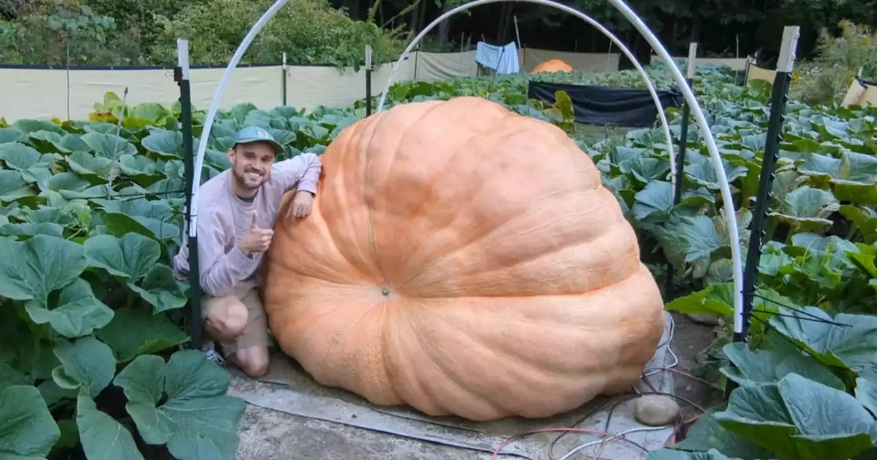 Nearly 2,500-pound pumpkin wins Massachusetts fair, sets new record