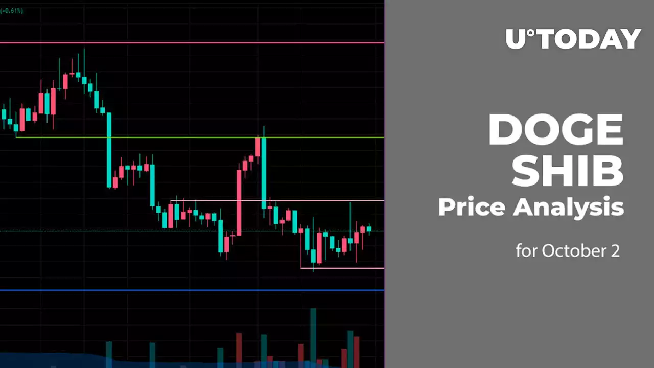 DOGE and SHIB Price Analysis for October 2