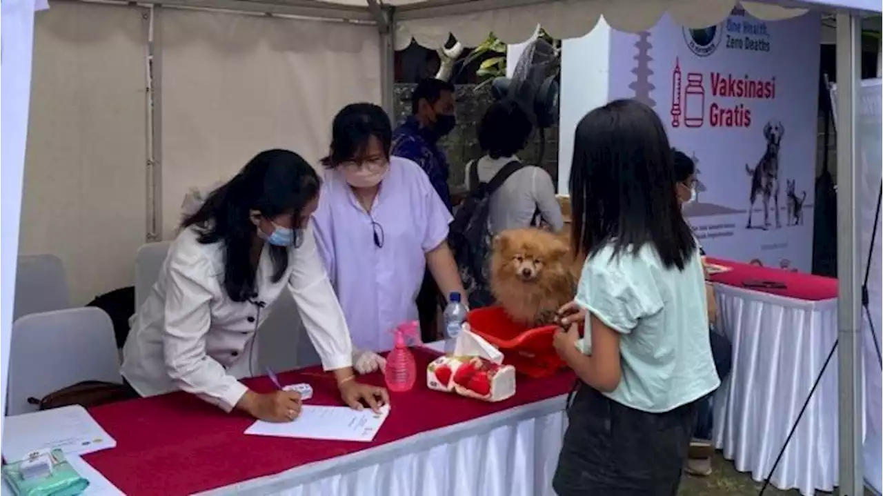 Duh, Banyak Pemilik yang Belum Vaksin Rabies Hewan Peliharaannya