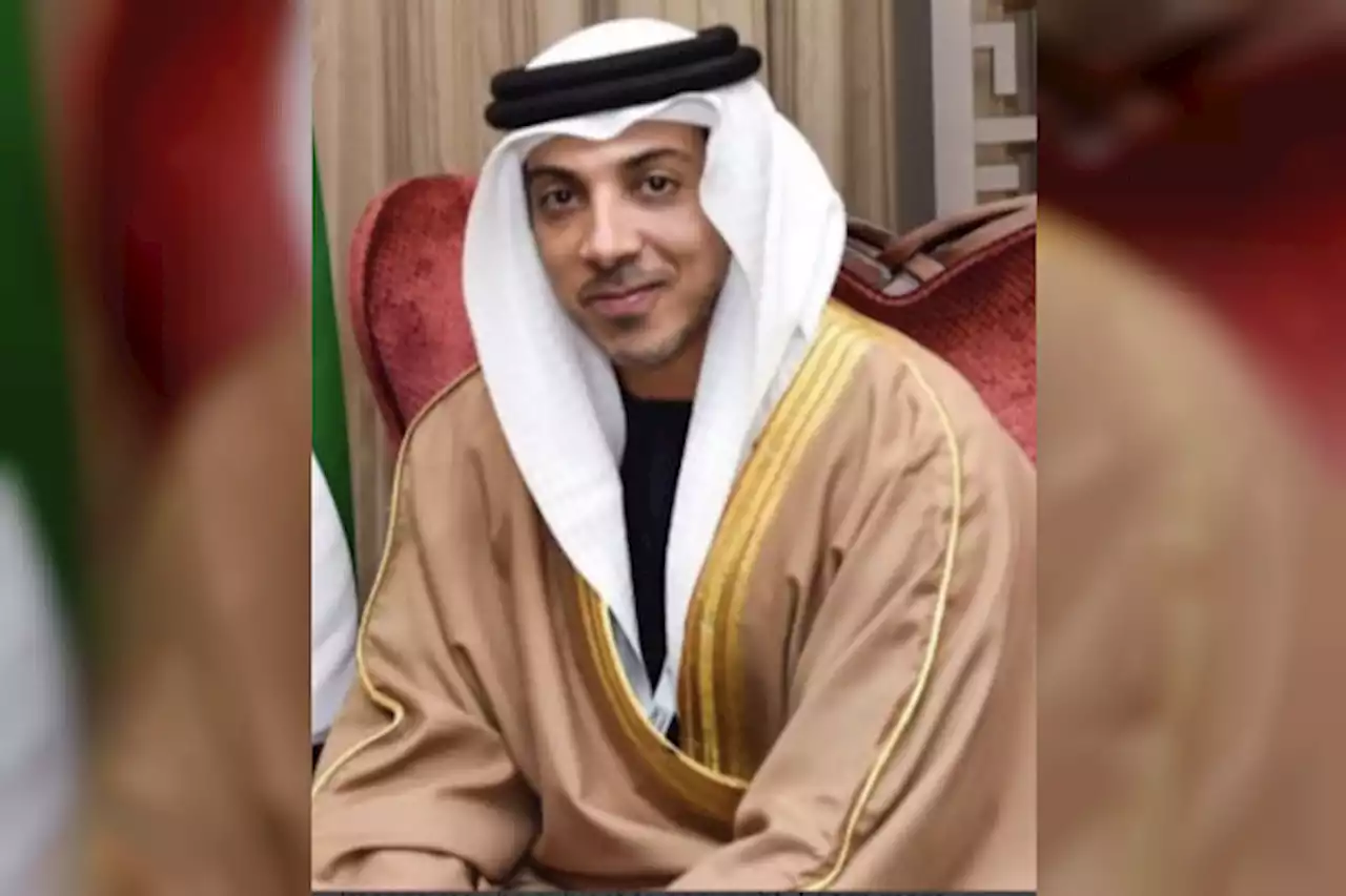 غدا ...'الإمارات الوطنية ' تدشن موسم بطولات جمال الخيل العربية