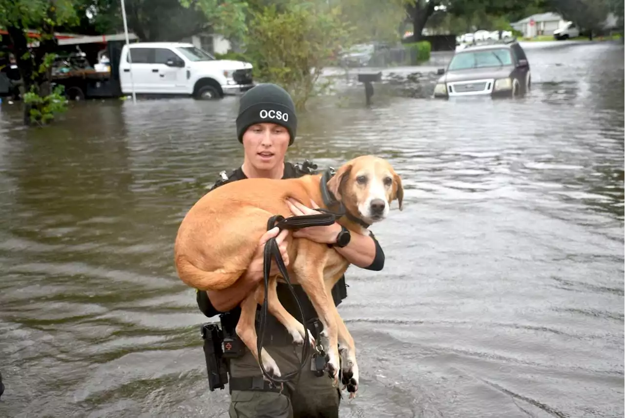 There are 'no easy fixes' in Florida. But could Hurricane Ian's havoc bring a call for better planning?