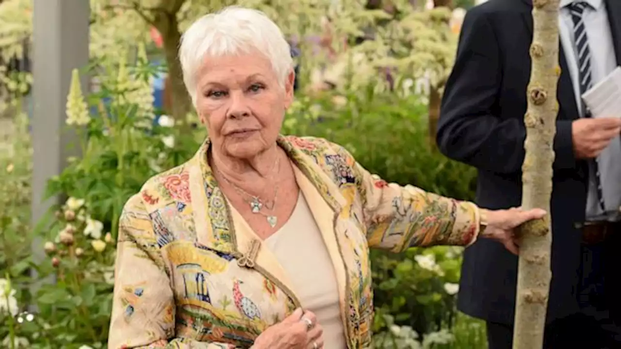 Judi Dench calls for 'The Crown' to add a disclaimer before each episode