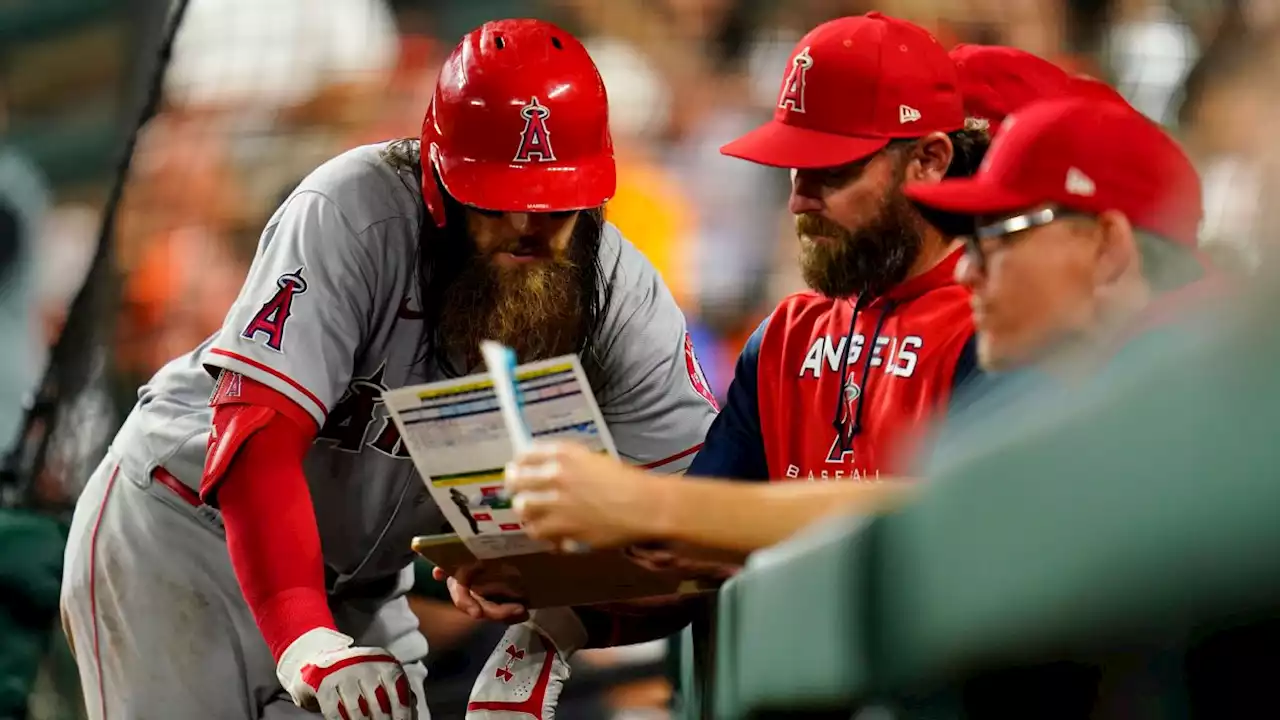 Angels hitting coaches Jeremy Reed, John Mallee won't return