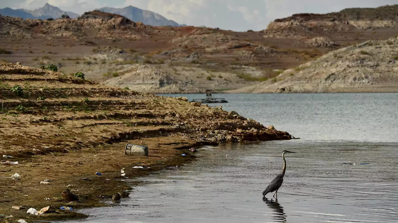 Bodies of water all over North America are drying up due to drought, climate change: Experts