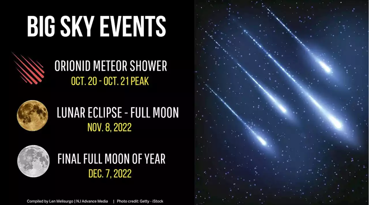 Meteor shower peaks this week: Best places, times to see Orionids