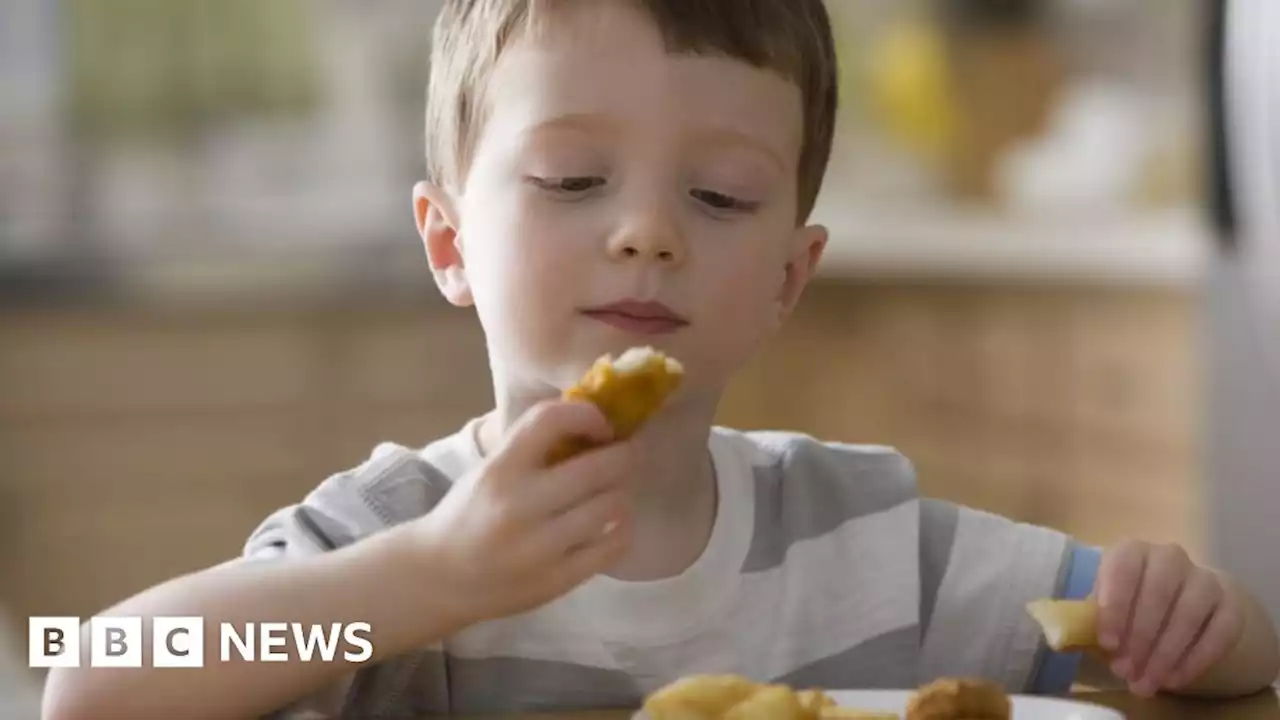 School meals: 'Holiday hunger' payments to continue until March 2023