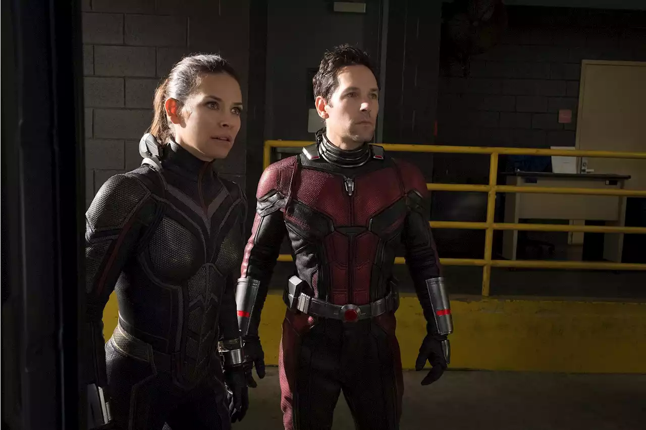 When to expect the first Ant-Man and the Wasp: Quantumania trailer