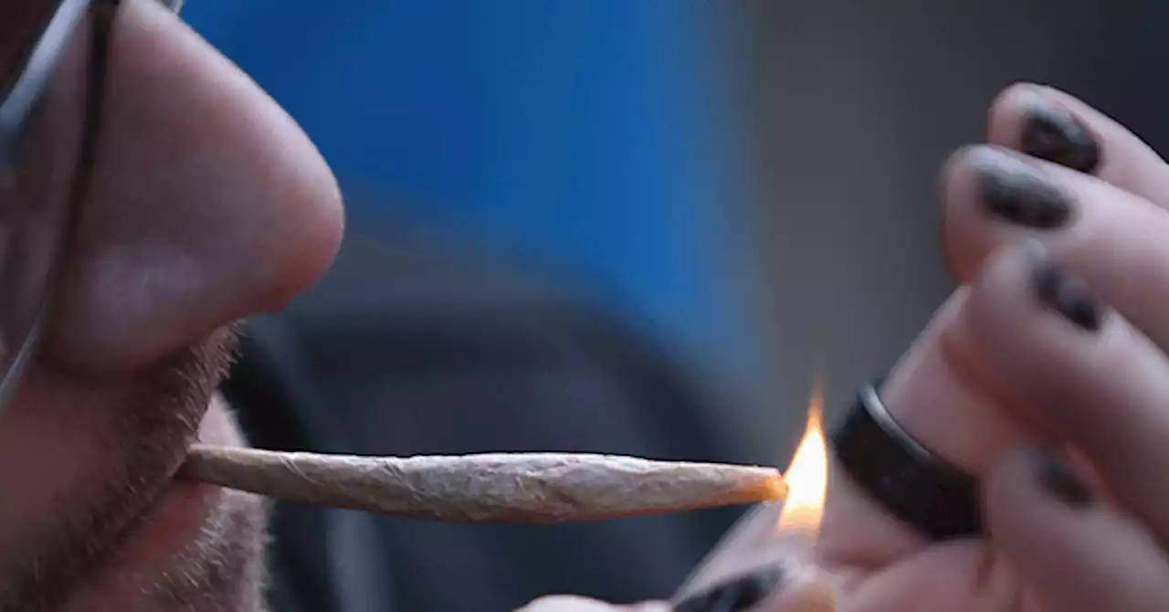 Study: Marijuana Use a 'New Normal' for Young Adults