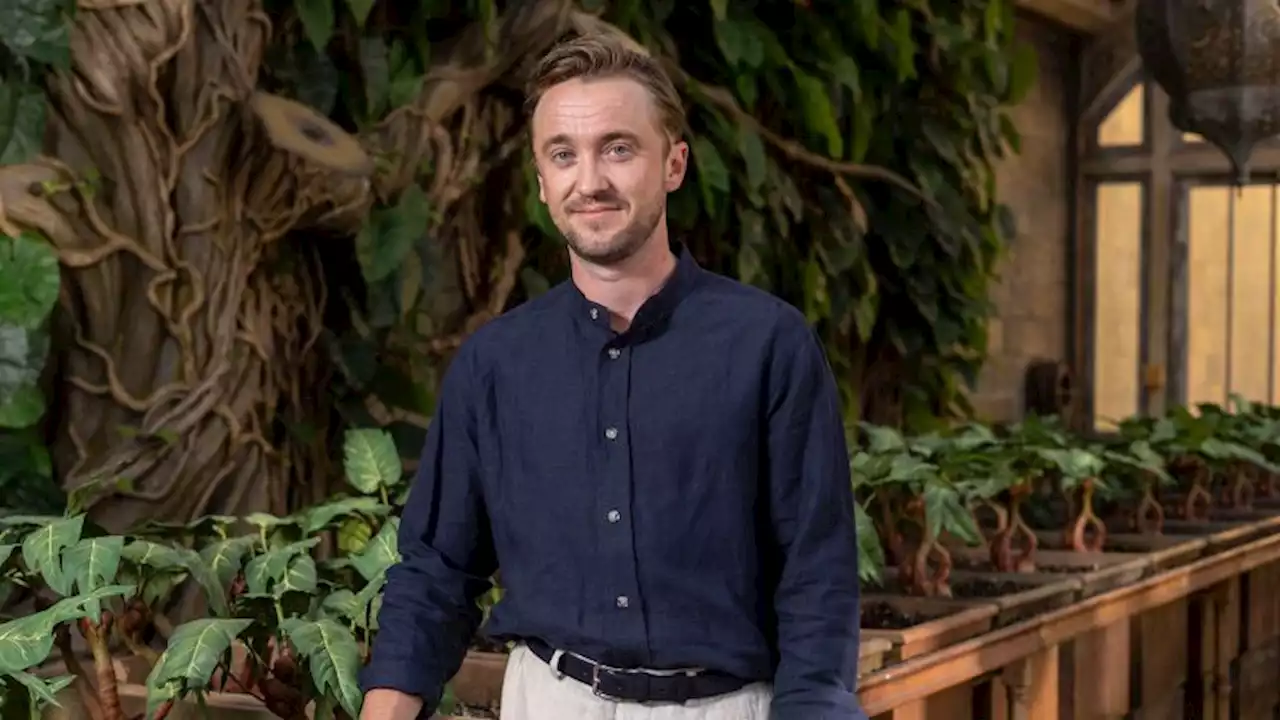 'Harry Potter' star Tom Felton details past struggle with alcoholism in new memoir | CNN