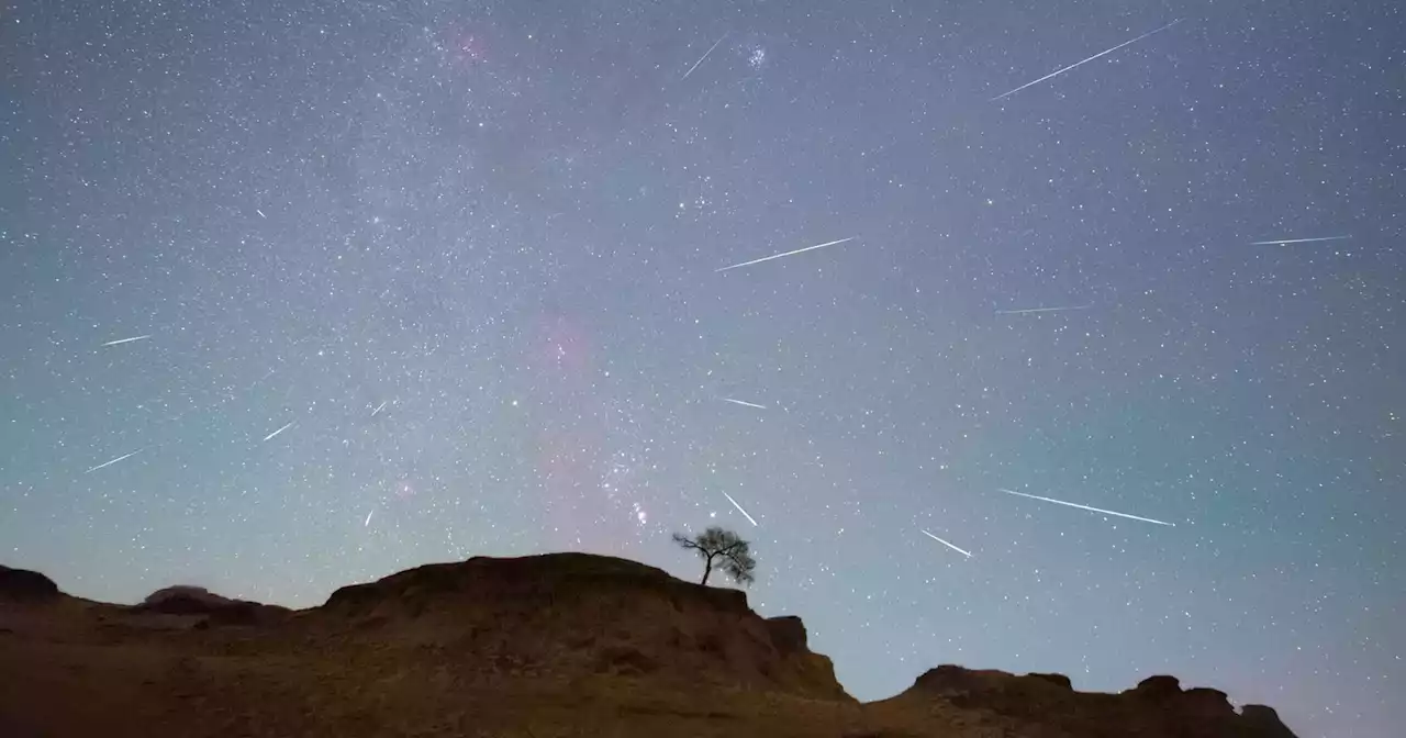 Orionid meteor shower from Halley's Comet to light up sky: How to watch