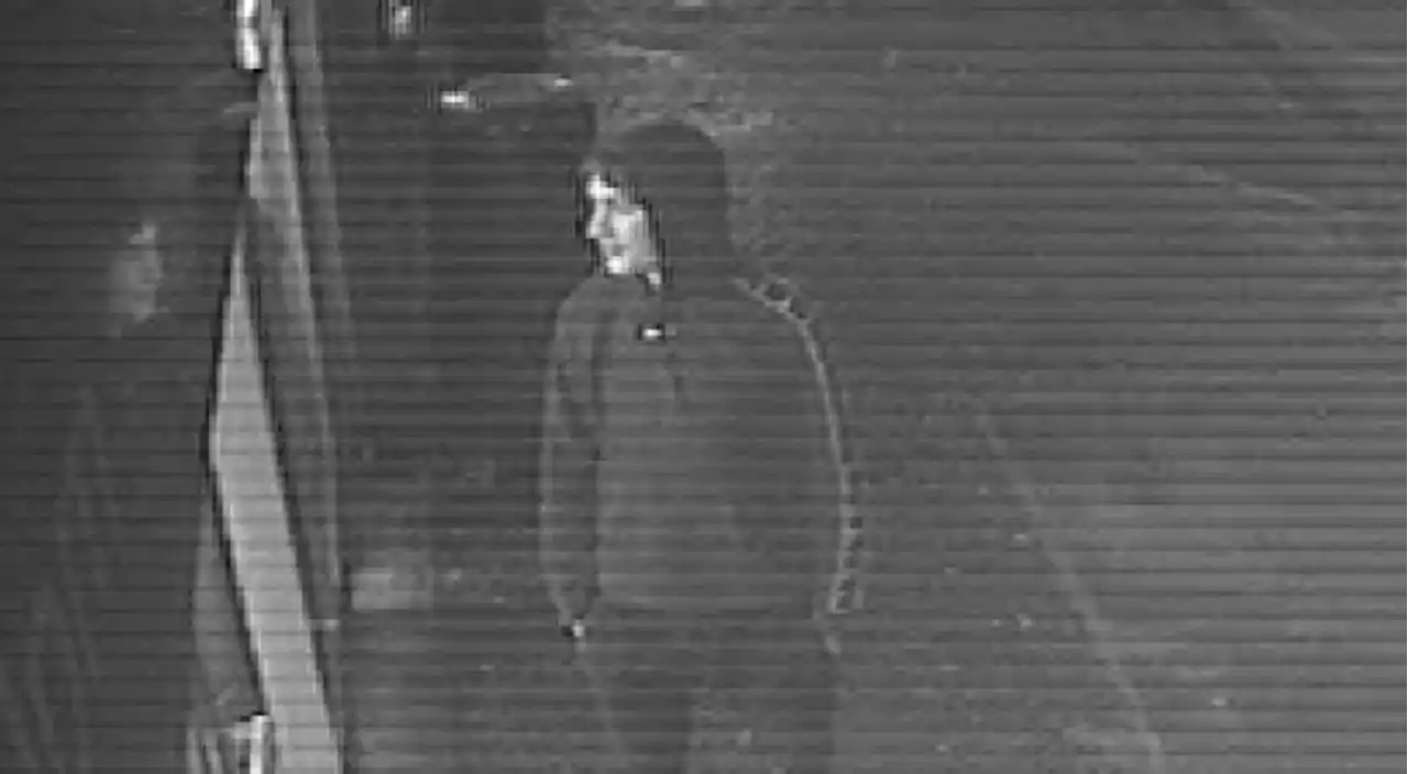 Do you know him? Police search for man who may have information after assault