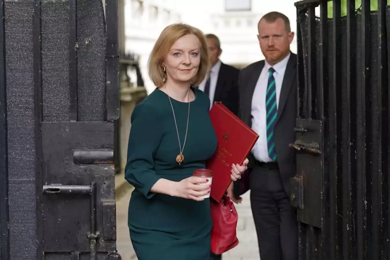 Liz Truss resignation: Who will pick the next Prime Minister and how?