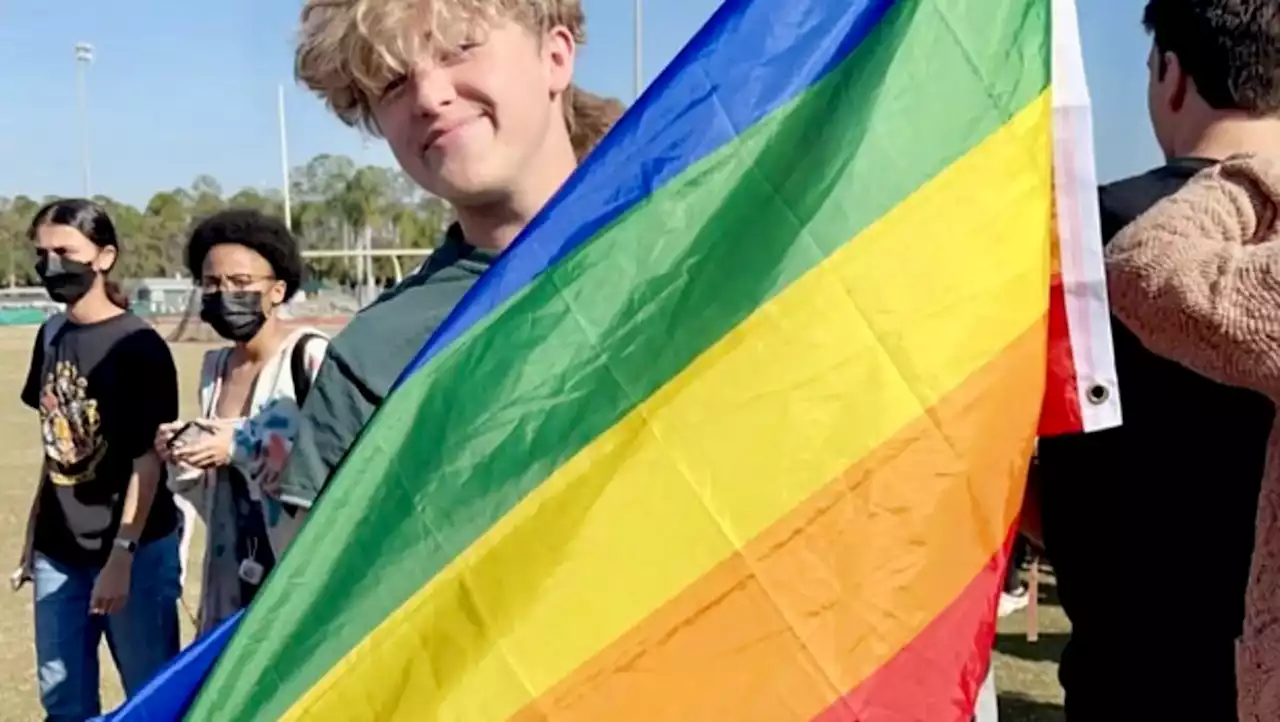 Controversial 'Stop WOKE,' parental rights rules get go-ahead as Florida LGBTQ advocates object