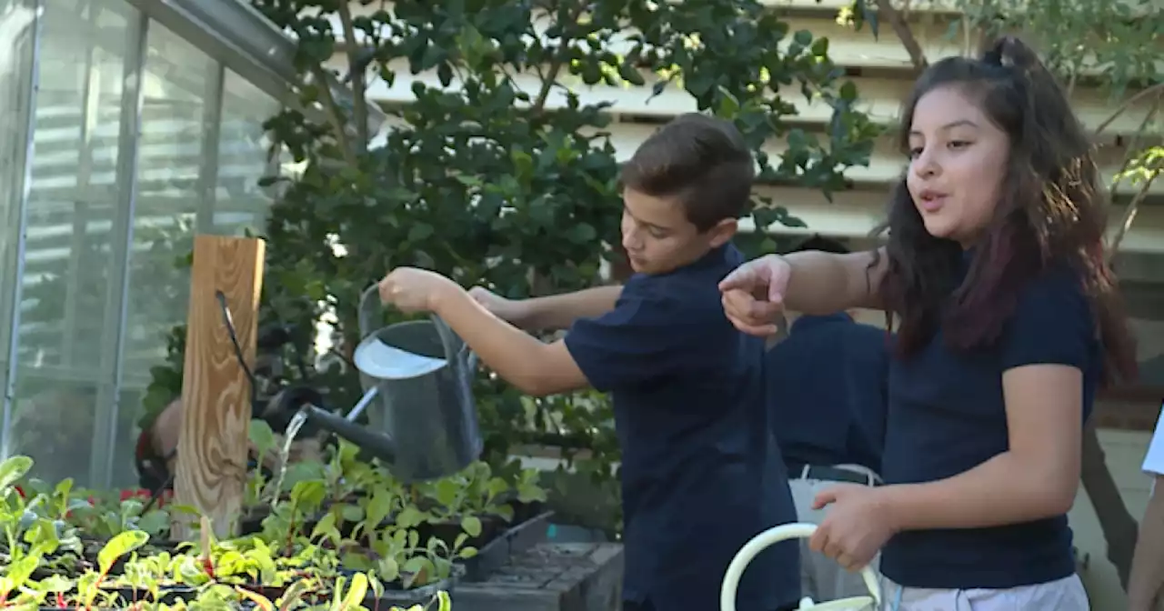 Manzo Elementary School's garden and ecology program leads the way in TUSD