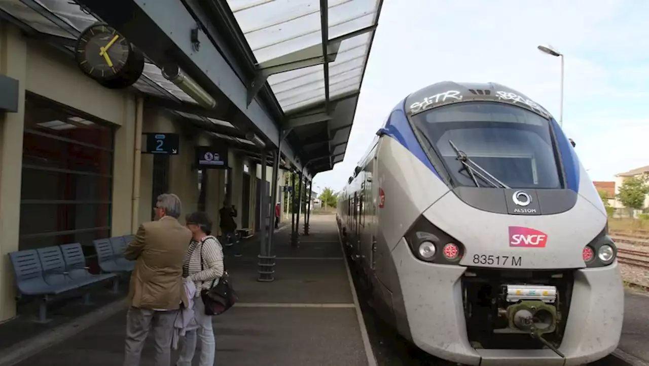 RER toulousain: unanimité à la Métropole pour un vœu en trompe-l’œil