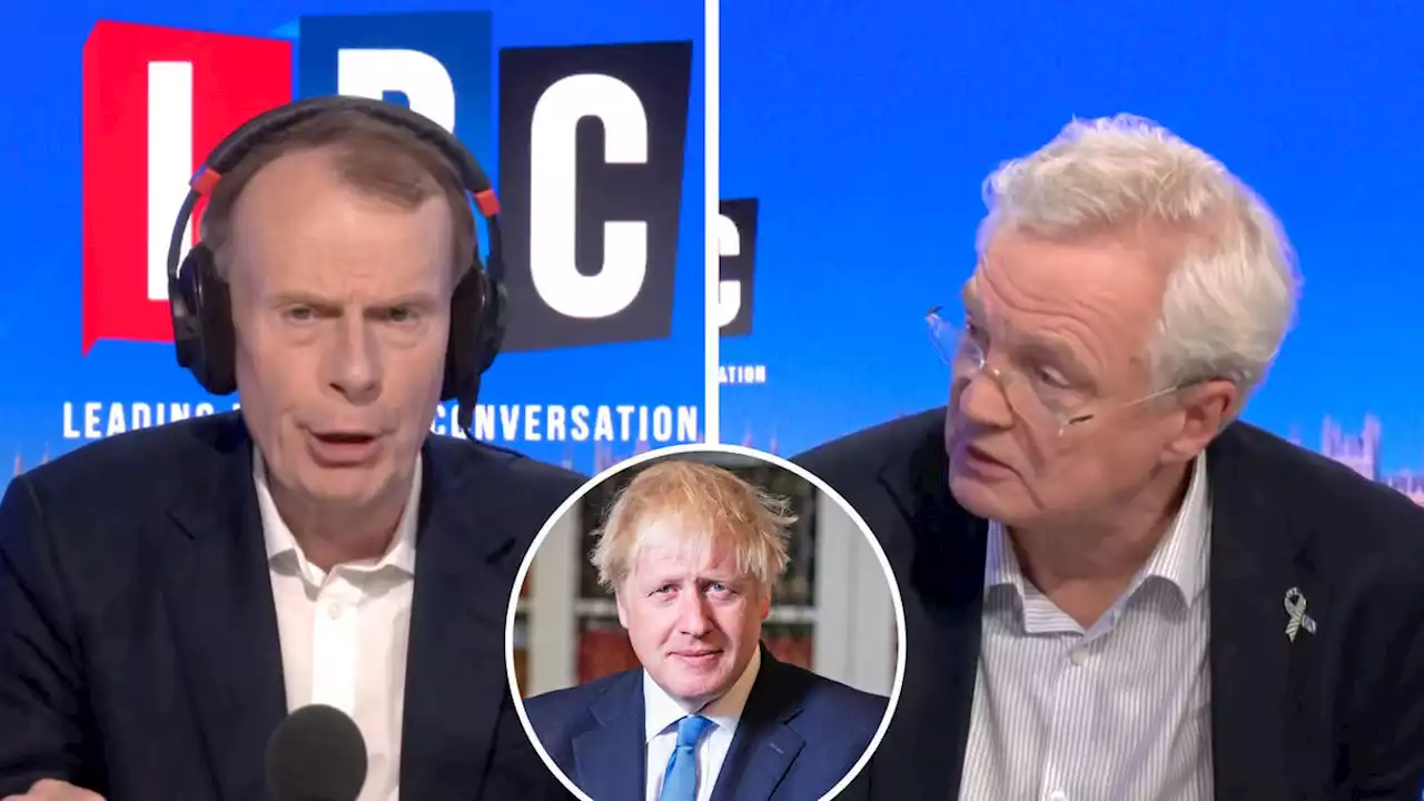 David Davis says Boris Johnson should 'go back to the beach' as former PM 'eyes leadership bid'