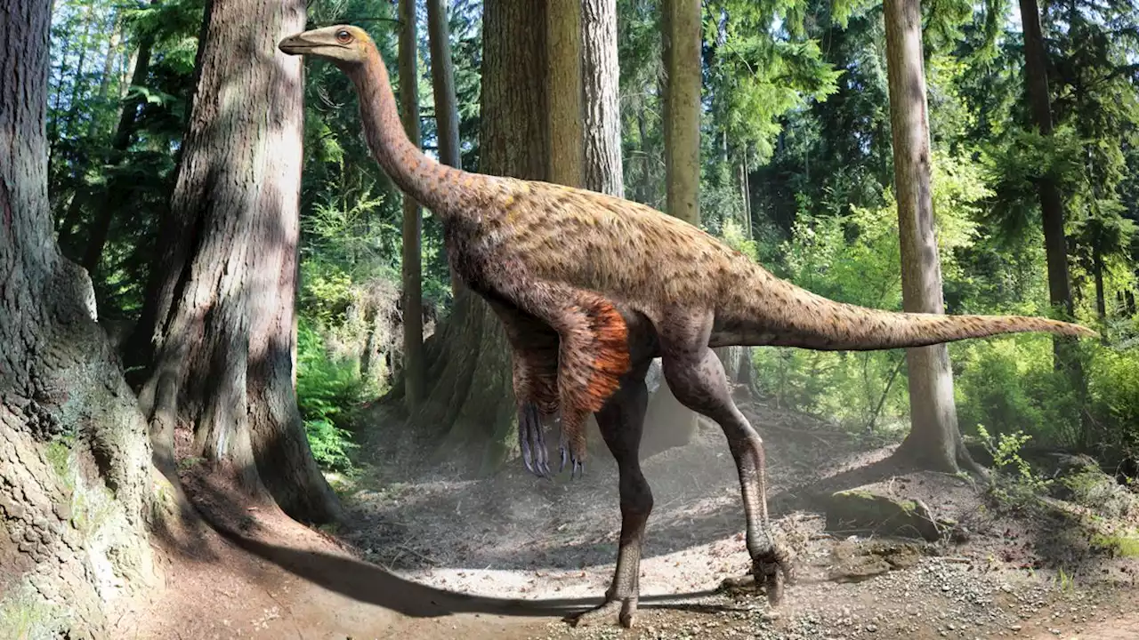 Giant, ostrich-like dinosaur and its smaller cousin roamed Mississippi during the late Cretaceous