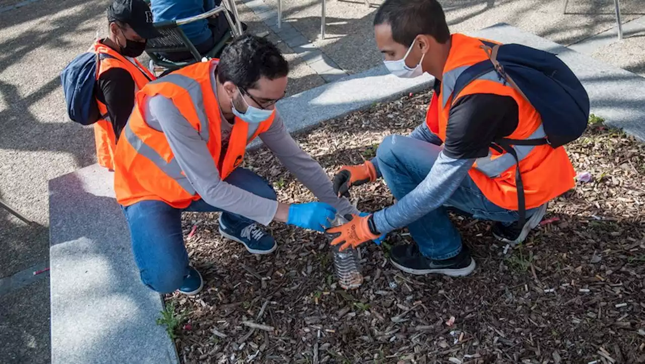 World cleanup day : l'Occitanie reste la région qui a le plus collecté de déchets en France