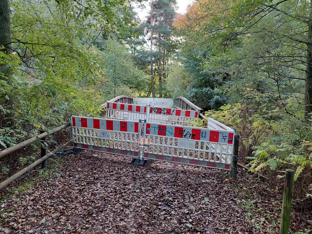 „Sicherheitsrisiko”: Mini-Brücke im Stadtpark wird richtig teuer