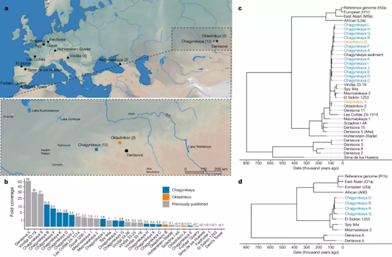 Genetic insights into the social organization of Neanderthals - Nature